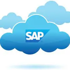  SAP Business One - Sales