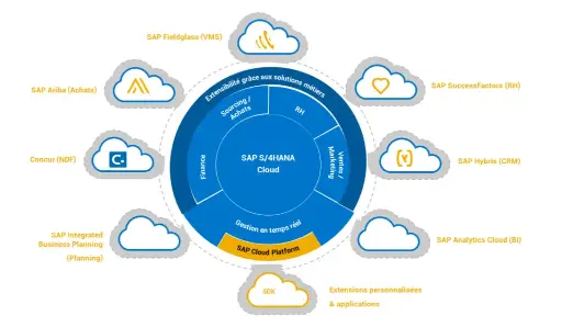 SAP Functional Training – 6-Month Career-B2B (Companies / Training Partners)