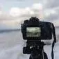Beginning the digital photography